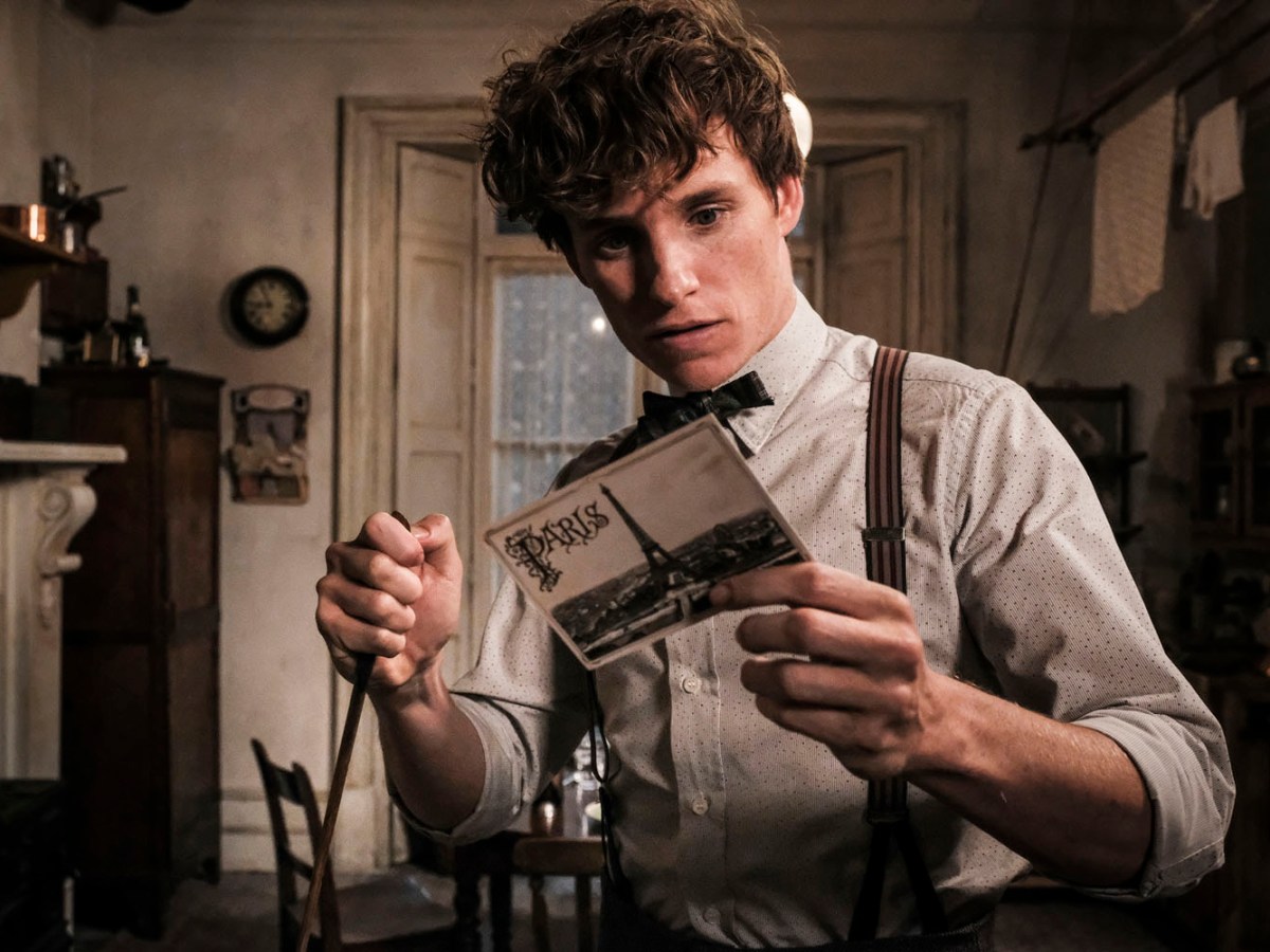 Les animaux fantastiques, que sait-on&nbsp;?